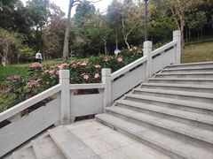 -炮台山公园