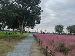 -汉长安城未央宫国家考古遗址公园