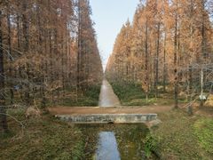 -黄海国家森林公园