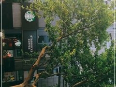 -星巴克(汾阳路店)