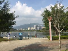 -飞来湖湿地公园