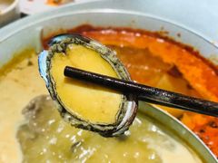 锅底里的鲍鱼-青瓷火锅料理(西单大悦城店)