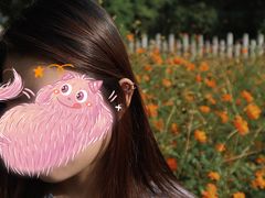 -晓港公园