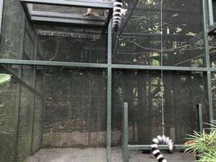 -新加坡飞禽公园