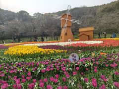 -苏州上方山国家森林公园