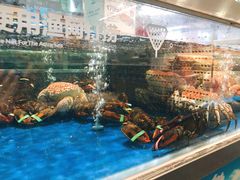 -盒马X会员店(王府井奥莱UP TOWN店)