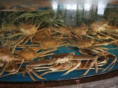 -徐记海鲜(梅溪新天地店)
