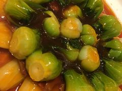 -潮江春(铜锣湾广场店)