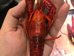 十三香龙虾-盱眙红叶龙虾(金源北路店)