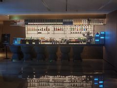 -漢頓温泉度假酒店