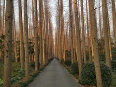 -上海怡沁园度假酒店