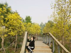 -东郊湿地公园