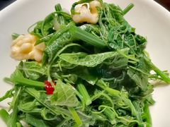 龙须菜拌桃仁-東舍食唐精品陕菜馆