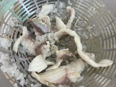 -源港渔村-中山脆肉鲩(博罗店)
