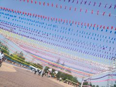 -武清南湖绿博园