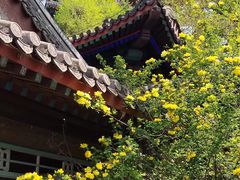 -承德避暑山庄景区