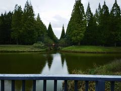 -黄海国家森林公园