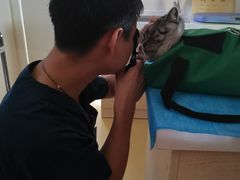 -芭比堂动物医院·犬猫全科·异宠专科(雁塔分院)
