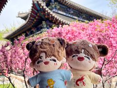 -碑林公园