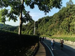 -火炉山森林公园