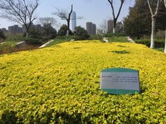 -白塘生态植物园