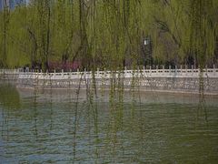 -迎泽公园