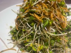 -大鸭梨烤鸭·北京菜(南小街/南苑店)