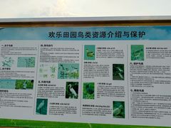 -光明小镇欢乐田园