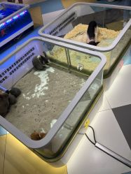 -meland亲子乐园·派对·研学·拼豆(苏州悠方购物中心店)