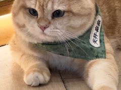 -天井·丑面包搭咖啡