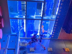 -泮金大塘(北二七路店)