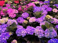 -香炉礁家具市场