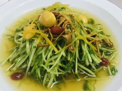 -广州素食学校·素猫豆腐(长洲码头店)