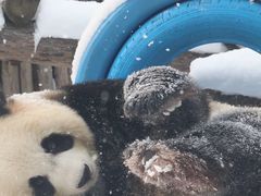 -大连森林动物园