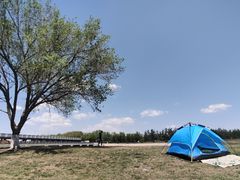 -天津武清北运河郊野公园房车露营地