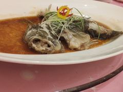 -宝燕壹号(徐汇店)