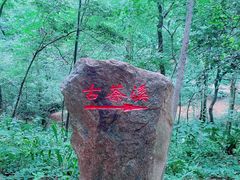 -波尔登森林公园