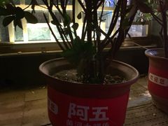 -阿五黄河大鲤鱼(纬三路店)