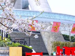 -东方明珠老上海8号餐厅
