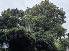 -赭山公园