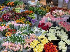 -双季花艺园艺市场(浦东店)