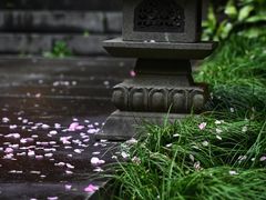 -慧因高丽寺