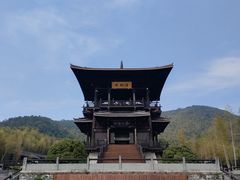 -大唐贡茶院