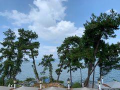 -宝荣鱼馆·临湖之宴(千岛湖店)