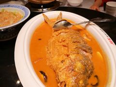 -阿五黄河大鲤鱼(海尚店)