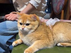 -草原塞蛮羊火锅城(港湾店)