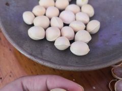 -腾冲国萍农家乐