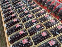 -果蔬好生活超市(东湖店)