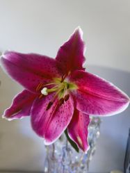 -青霖·飘逸造型