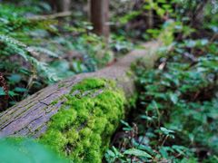 -上色见熊野座神社